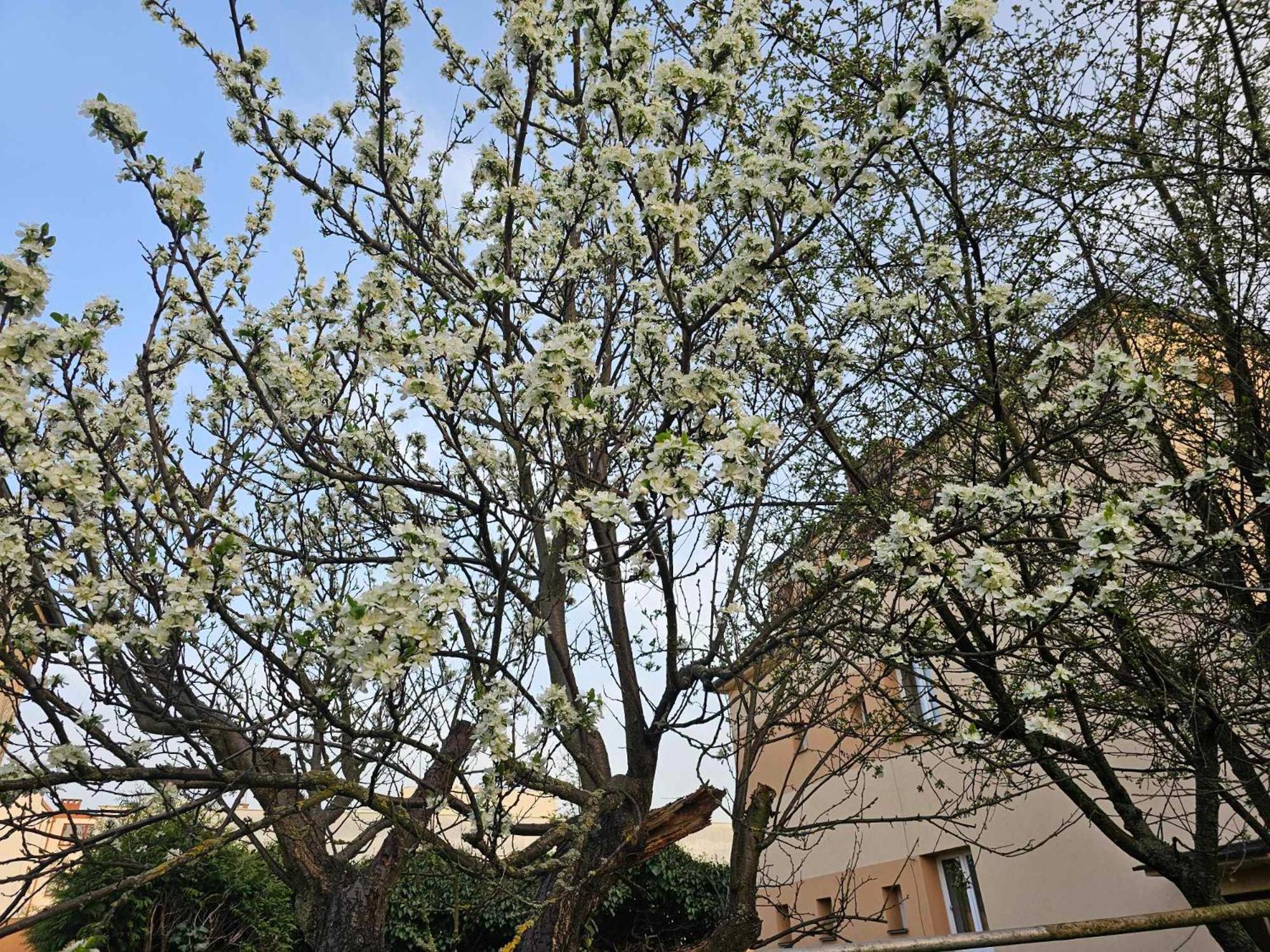 Slunny Byt V Klidne Casti Hradce Kralove - Zahrada, Parkovani Zdarma Hradec Králové Exterior foto